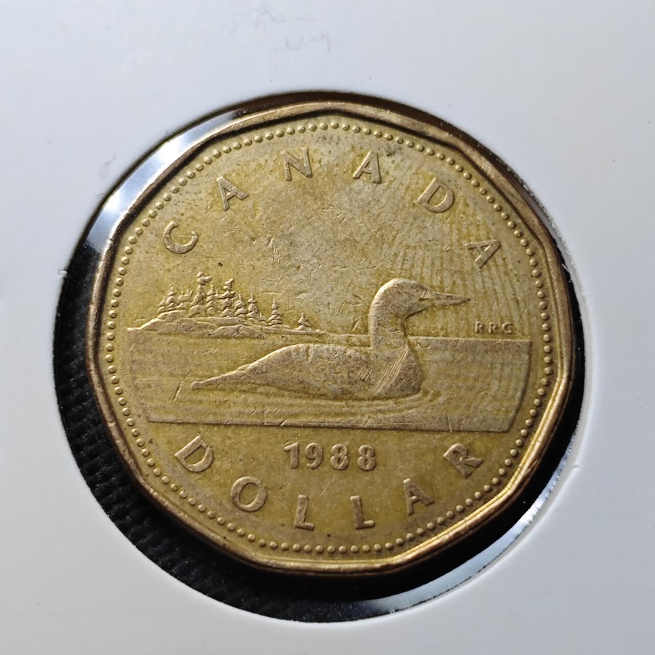 KK钱币收藏小铺  第367场  2月预留时间 周末发货  加拿大1元