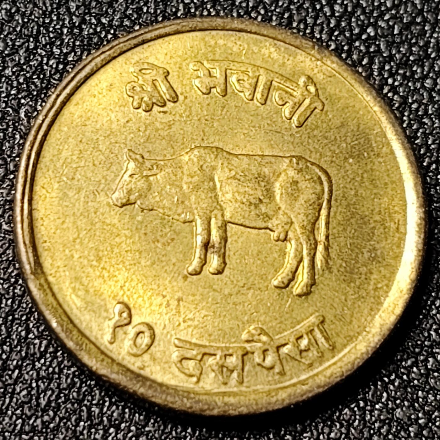 泉币菌-第125场-126场 并场 精品福利场(115场之后的本周末发货，感谢理解) 。