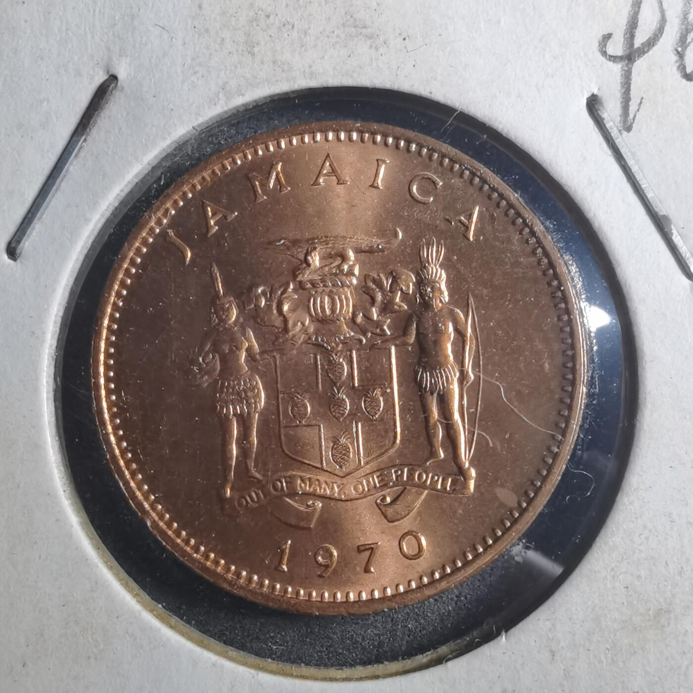 沼泽如烟--第896场