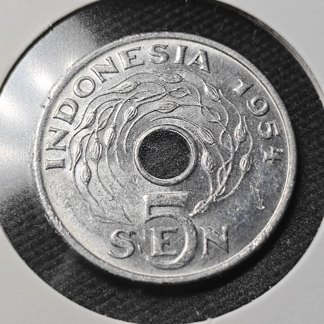 KK钱币收藏小铺  第366场  2月预留时间 周末发货  