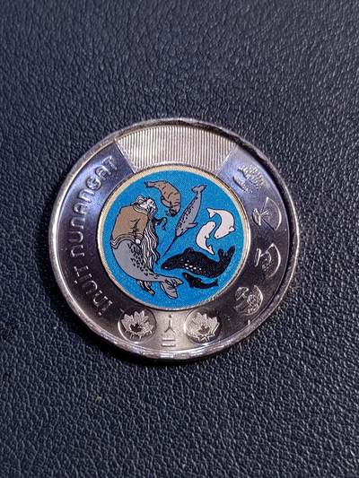 世界各国普、纪币捡漏专场(第十八场) - 2024年加拿大庆祝因纽特人努南加特2加元双金属彩色版纪念币