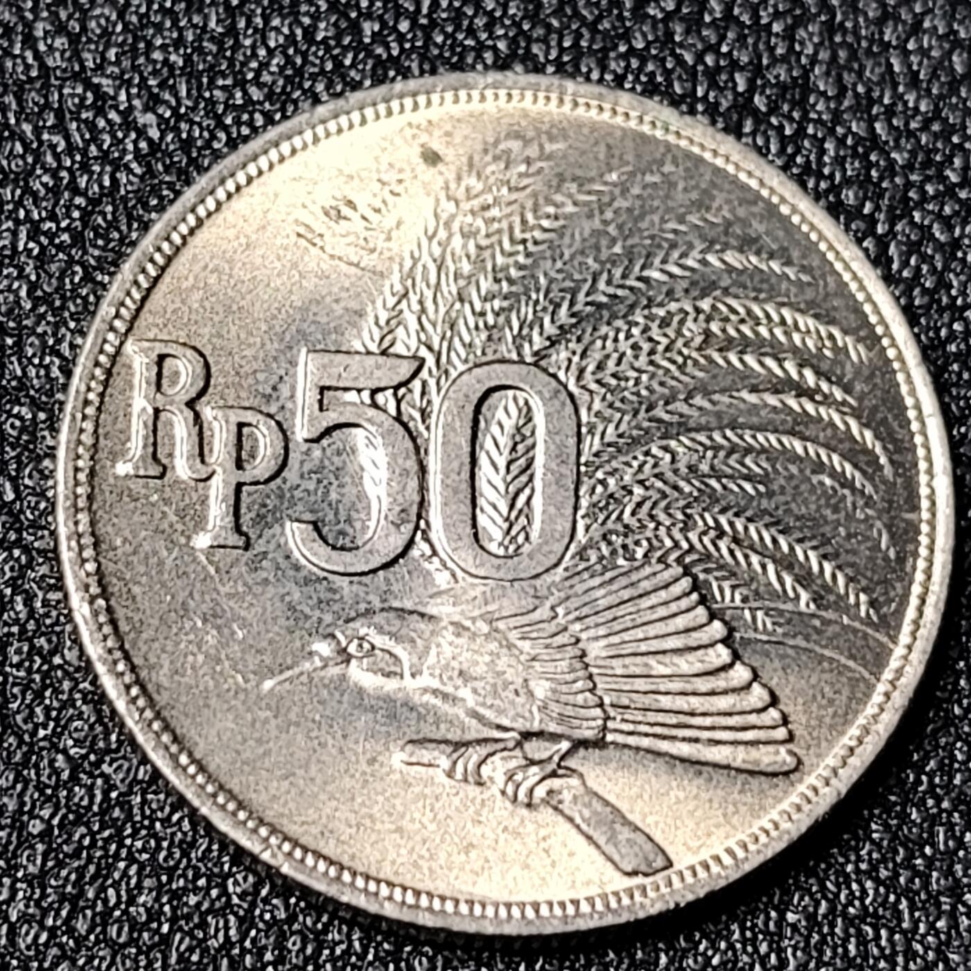 泉币菌-第125场-126场 并场 精品福利场(115场之后的本周末发货，感谢理解) 。