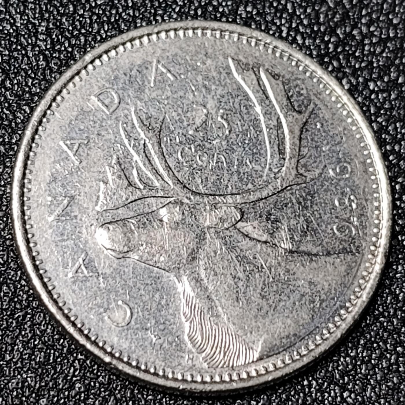 泉币菌-第125场-126场 并场 精品福利场(115场之后的本周末发货，感谢理解) 。