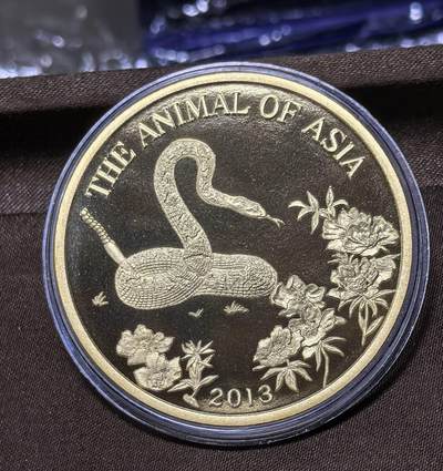 北京马甸外国币专卖第145期，外国币专场，陆续上拍，欢迎关注 - 2013年朝鲜50元生肖动物蛇精制大铜币，45mm