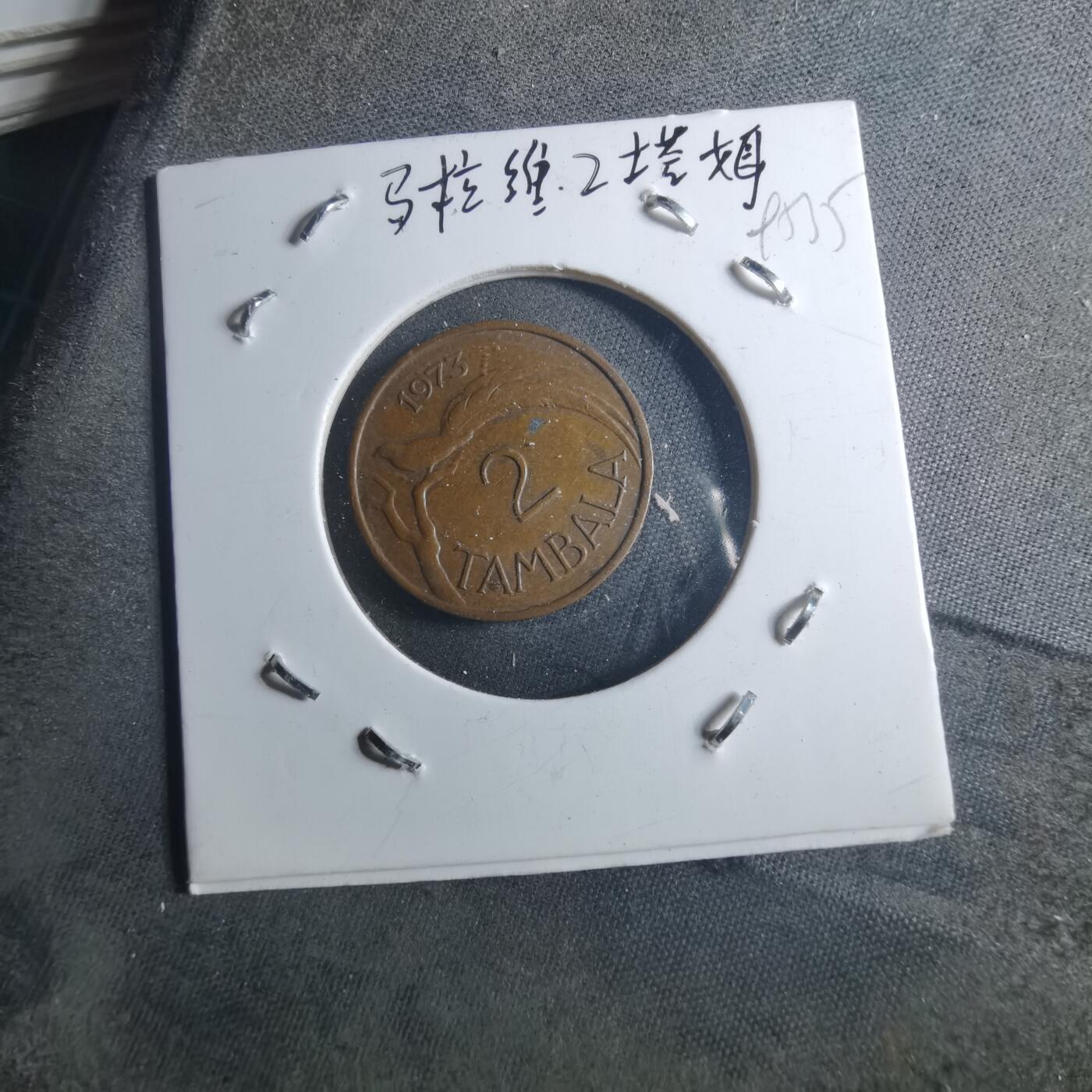 沼泽如烟--第895场 马拉维1973年2坦巴拉