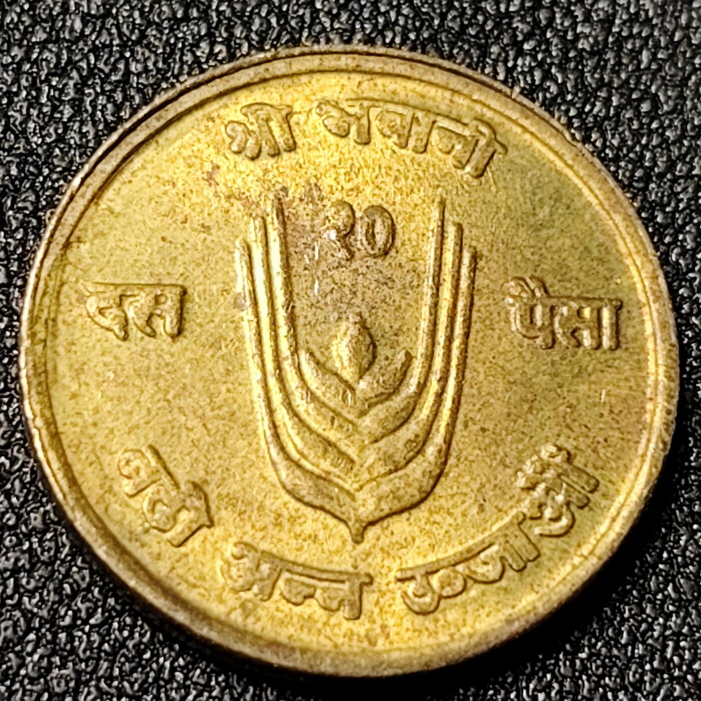 泉币菌-第125场-126场 并场 精品福利场(115场之后的本周末发货，感谢理解) 。