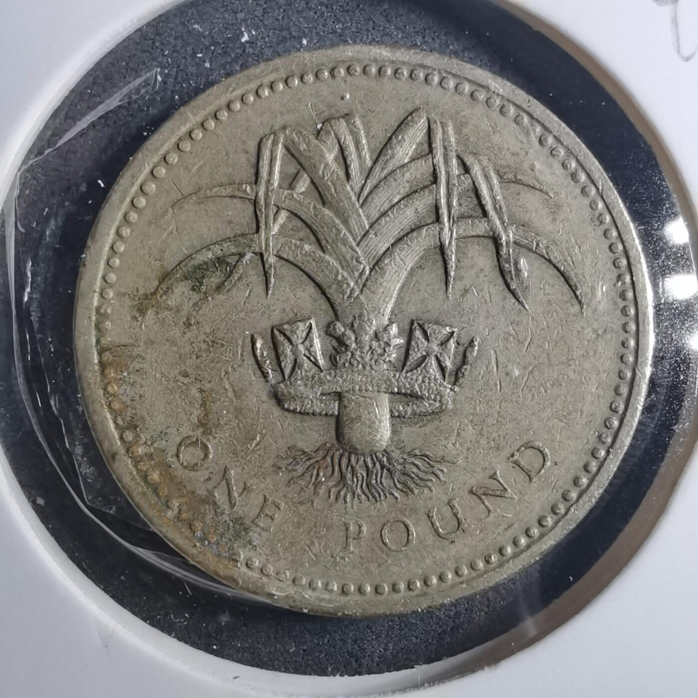 沼泽如烟--第896场 英国1985年一磅