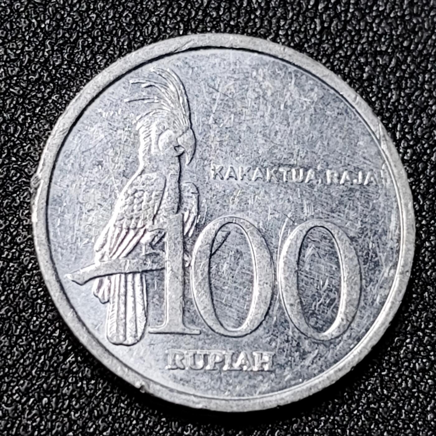 泉币菌-第125场-126场 并场 精品福利场(115场之后的本周末发货，感谢理解) 。