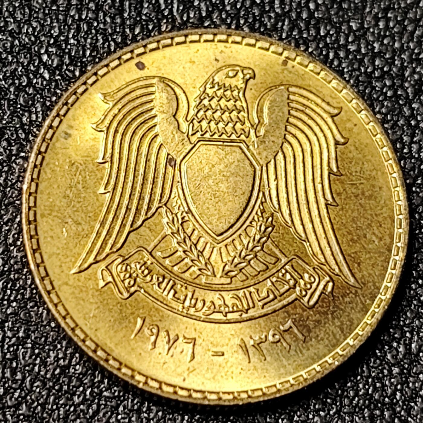 泉币菌-第125场-126场 并场 精品福利场(115场之后的本周末发货，感谢理解) 。