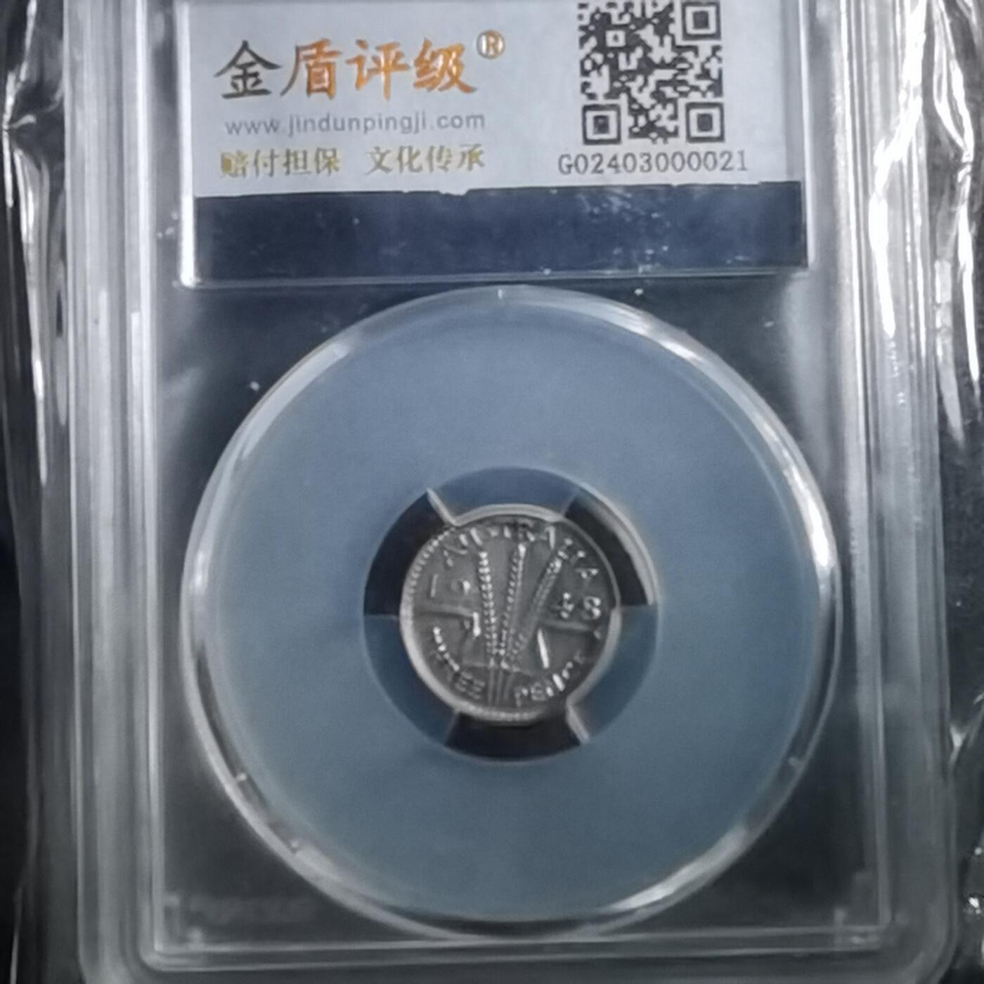 沼泽如烟--第895场