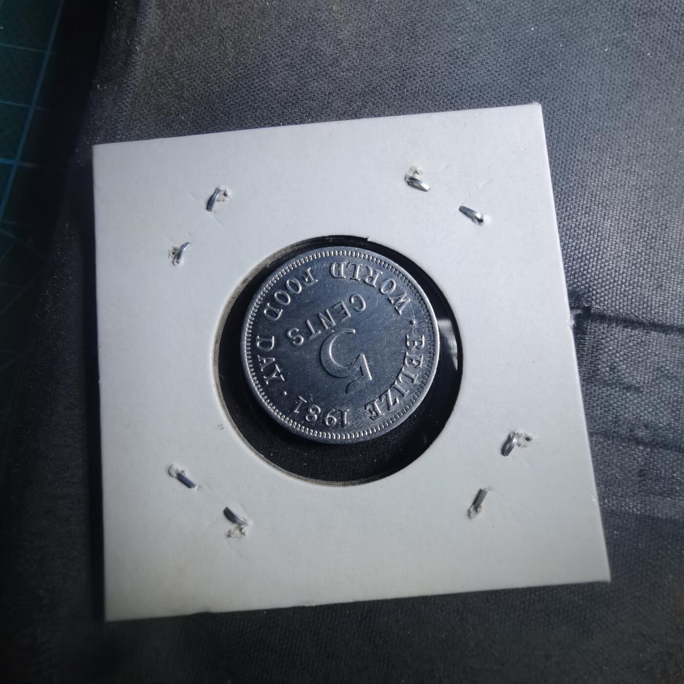 沼泽如烟--第896场 伯利兹1981年五分FAO