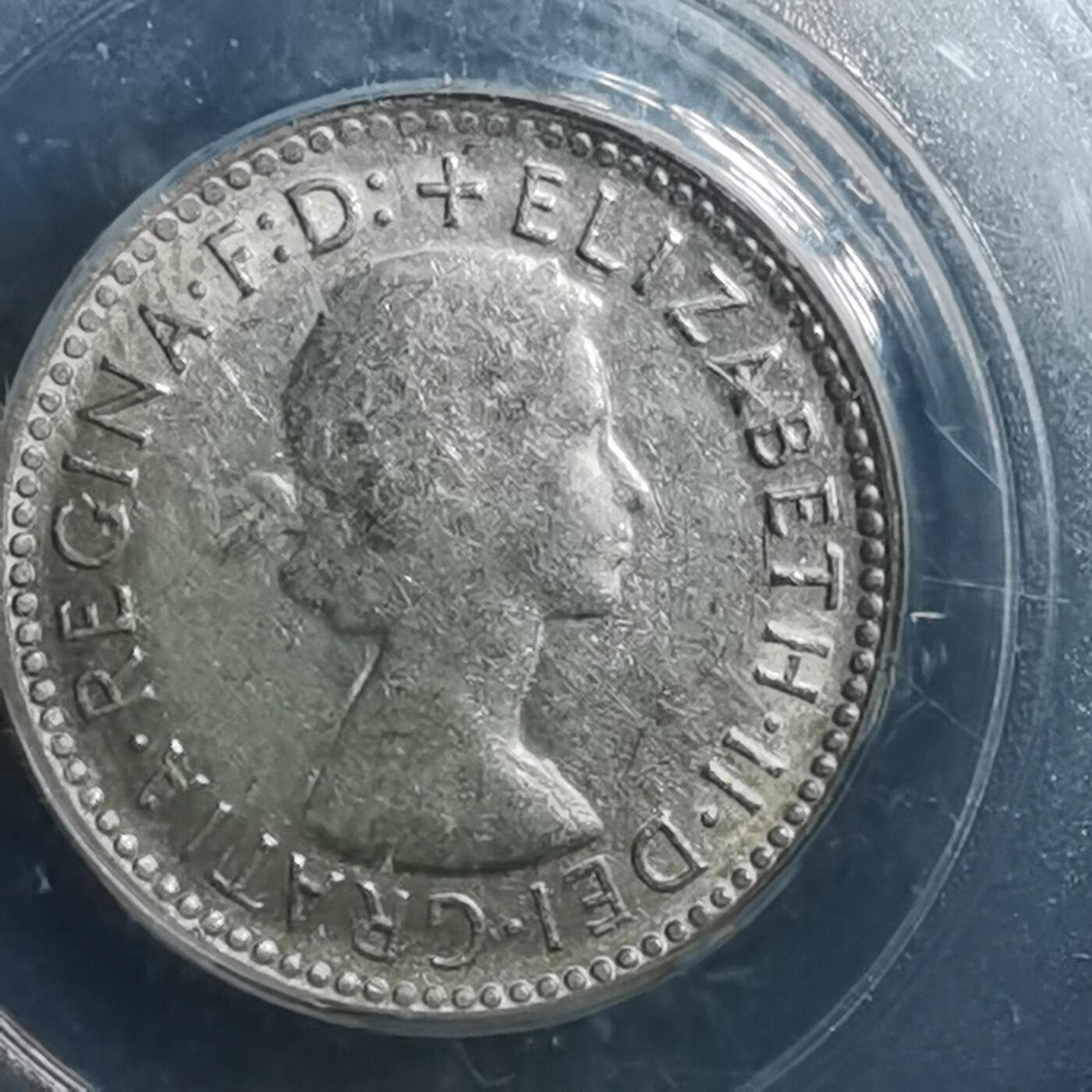 沼泽如烟--第895场