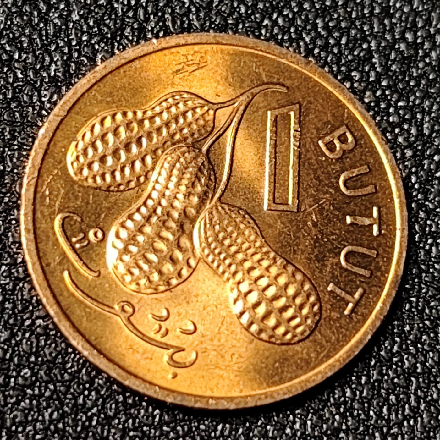 泉币菌-第125场-126场 并场 精品福利场(115场之后的本周末发货，感谢理解) 。