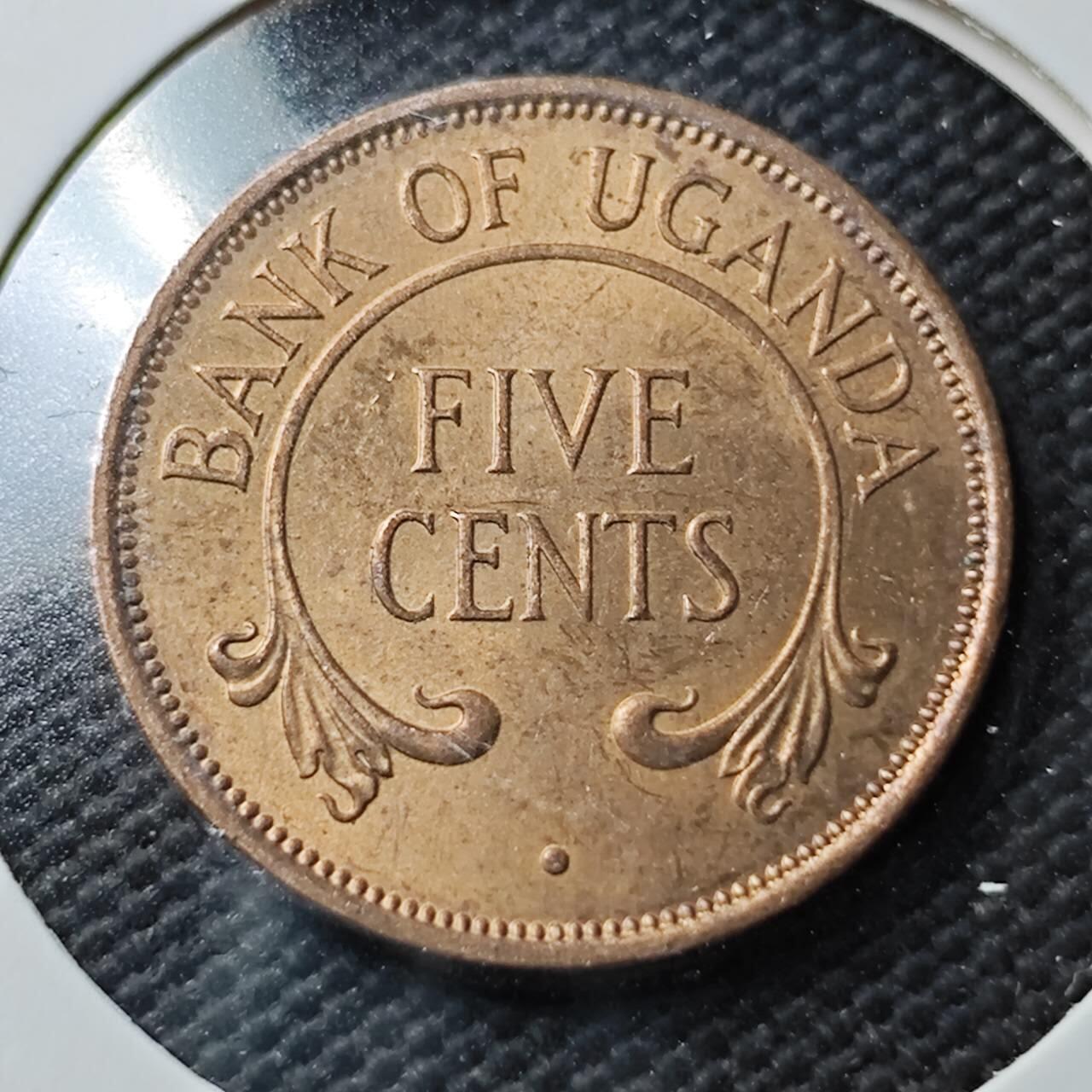 KK钱币收藏小铺  第366场  2月预留时间 周末发货  