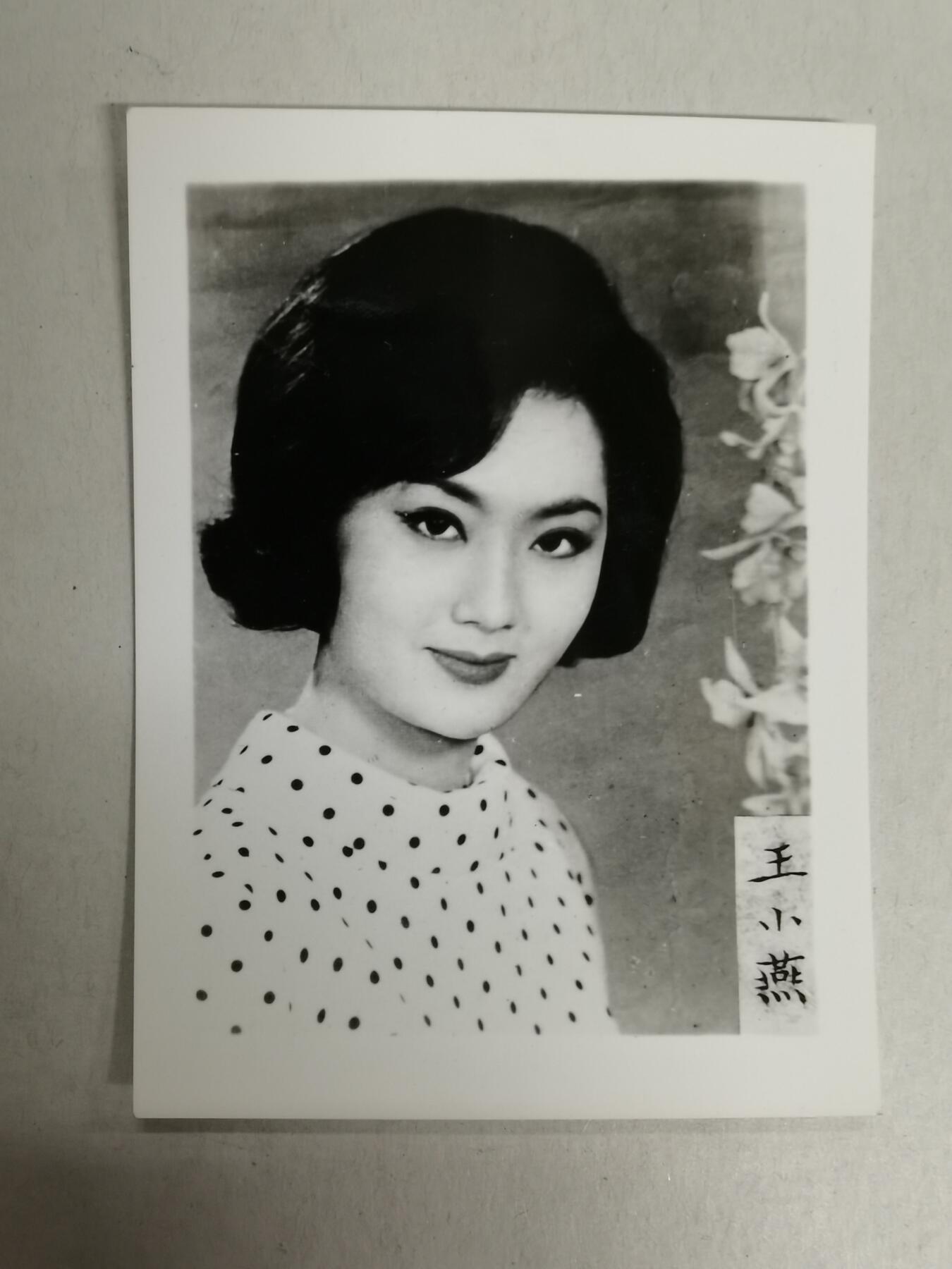 明星老照片一批