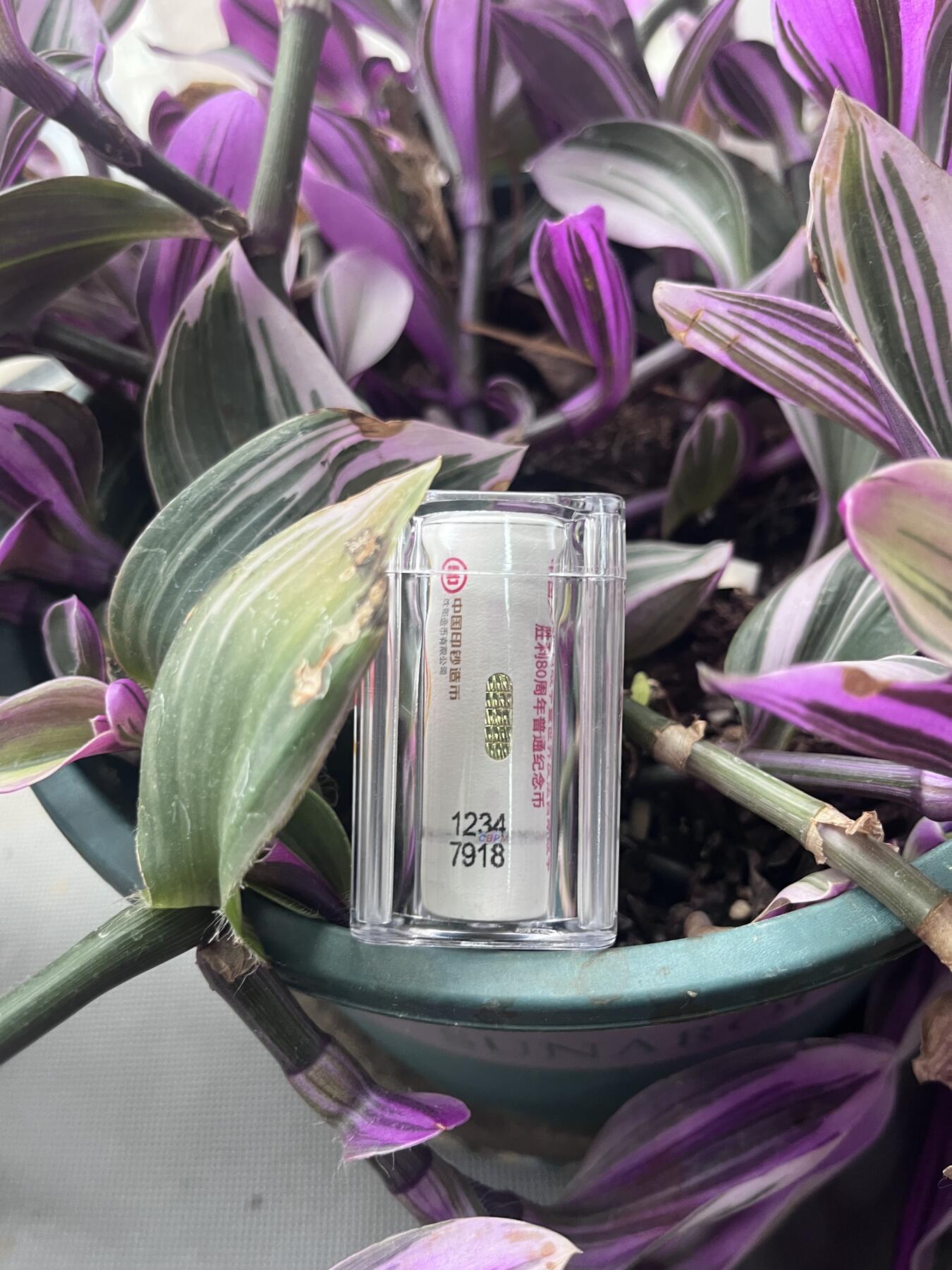 反法西斯纪念币🪙80周年一卷尾8