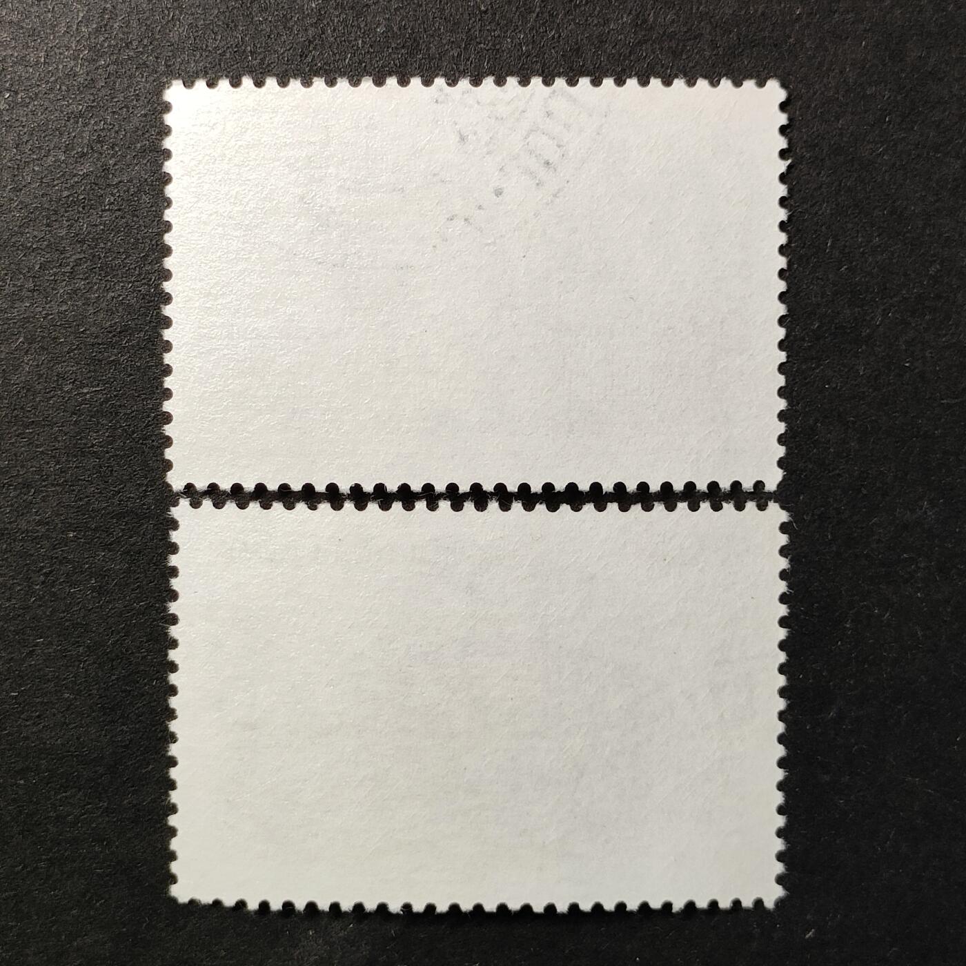 嘉禾收藏    【第373期】            无佣金、可寄存、满30元包邮 卢森堡邮票，1981年卢森堡国家图书馆建筑邮票雕刻版2全