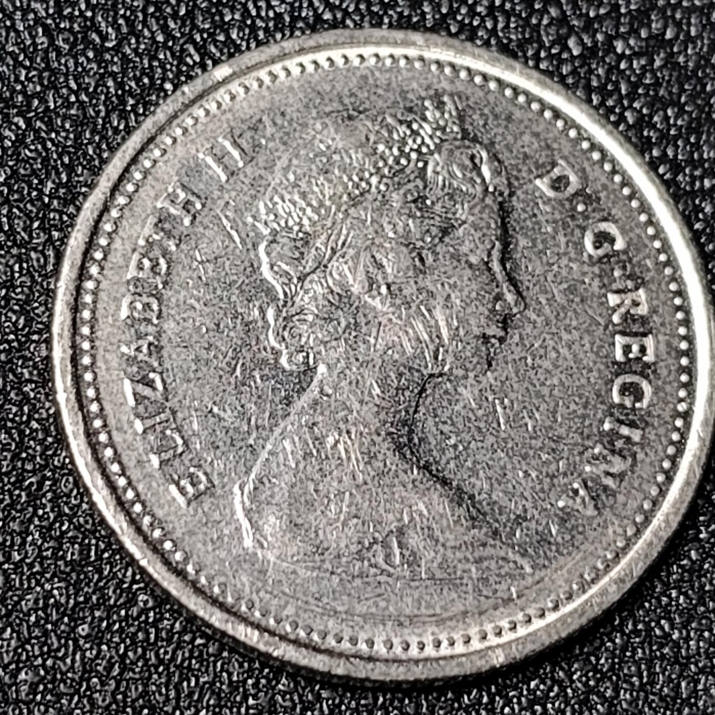 泉币菌-第125场-126场 并场 精品福利场(115场之后的本周末发货，感谢理解) 。