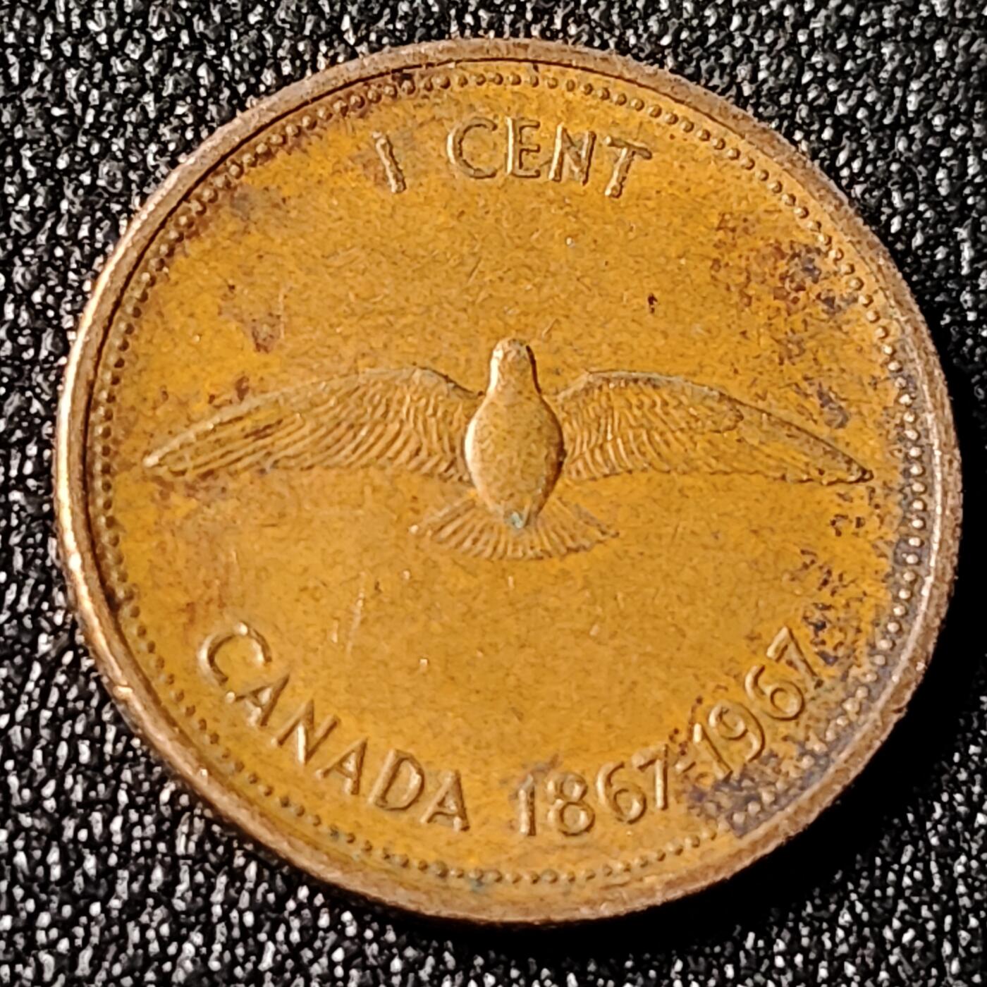 泉币菌-第125场-126场 并场 精品福利场(115场之后的本周末发货，感谢理解) 。