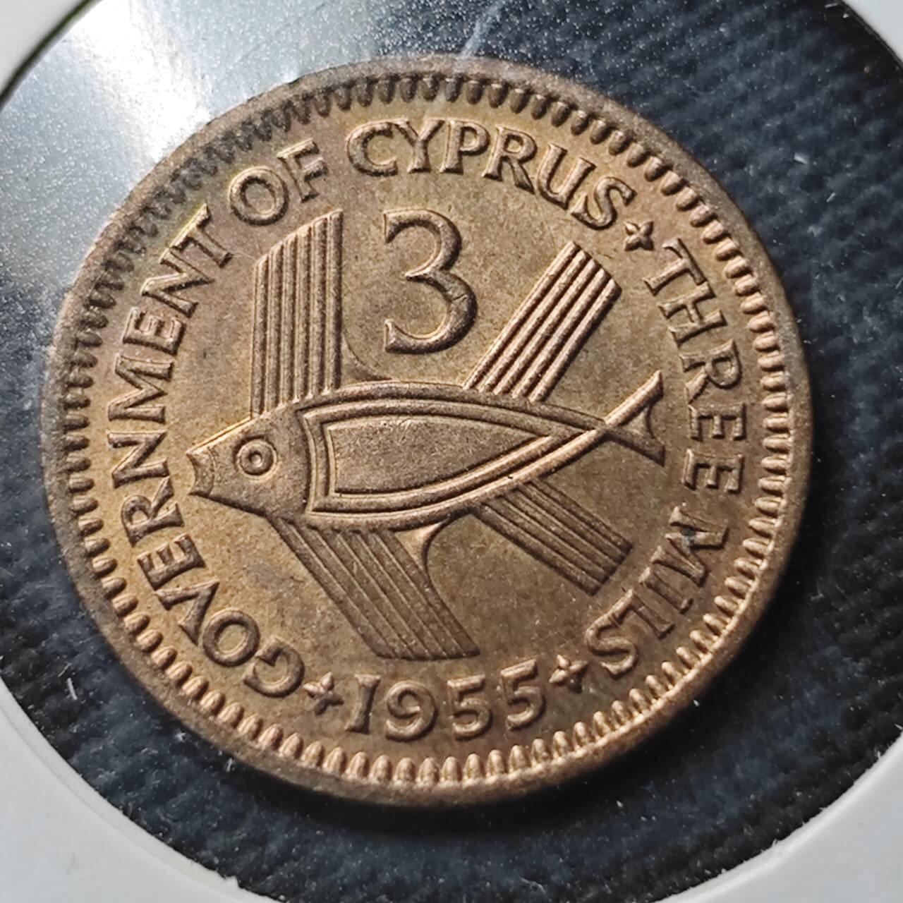 KK钱币收藏小铺  第366场  2月预留时间 周末发货  