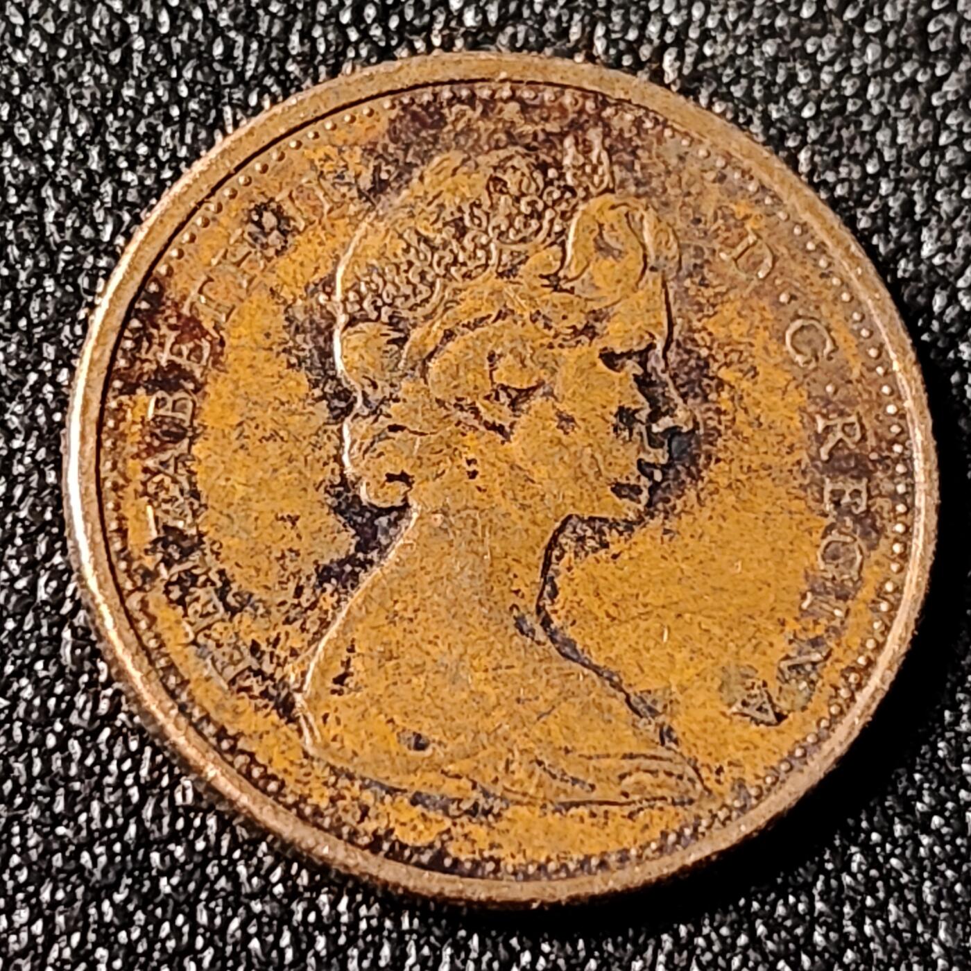 泉币菌-第125场-126场 并场 精品福利场(115场之后的本周末发货，感谢理解) 。