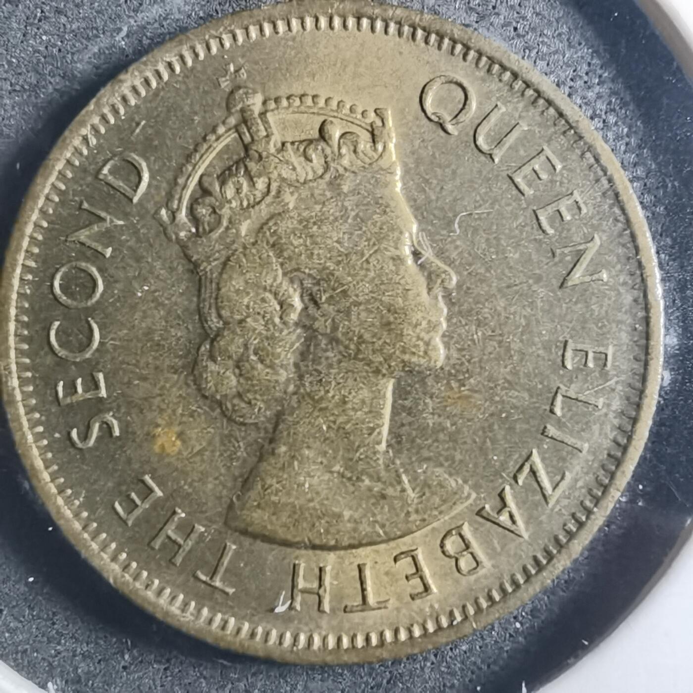 沼泽如烟--第896场 香港1980年一毫特年