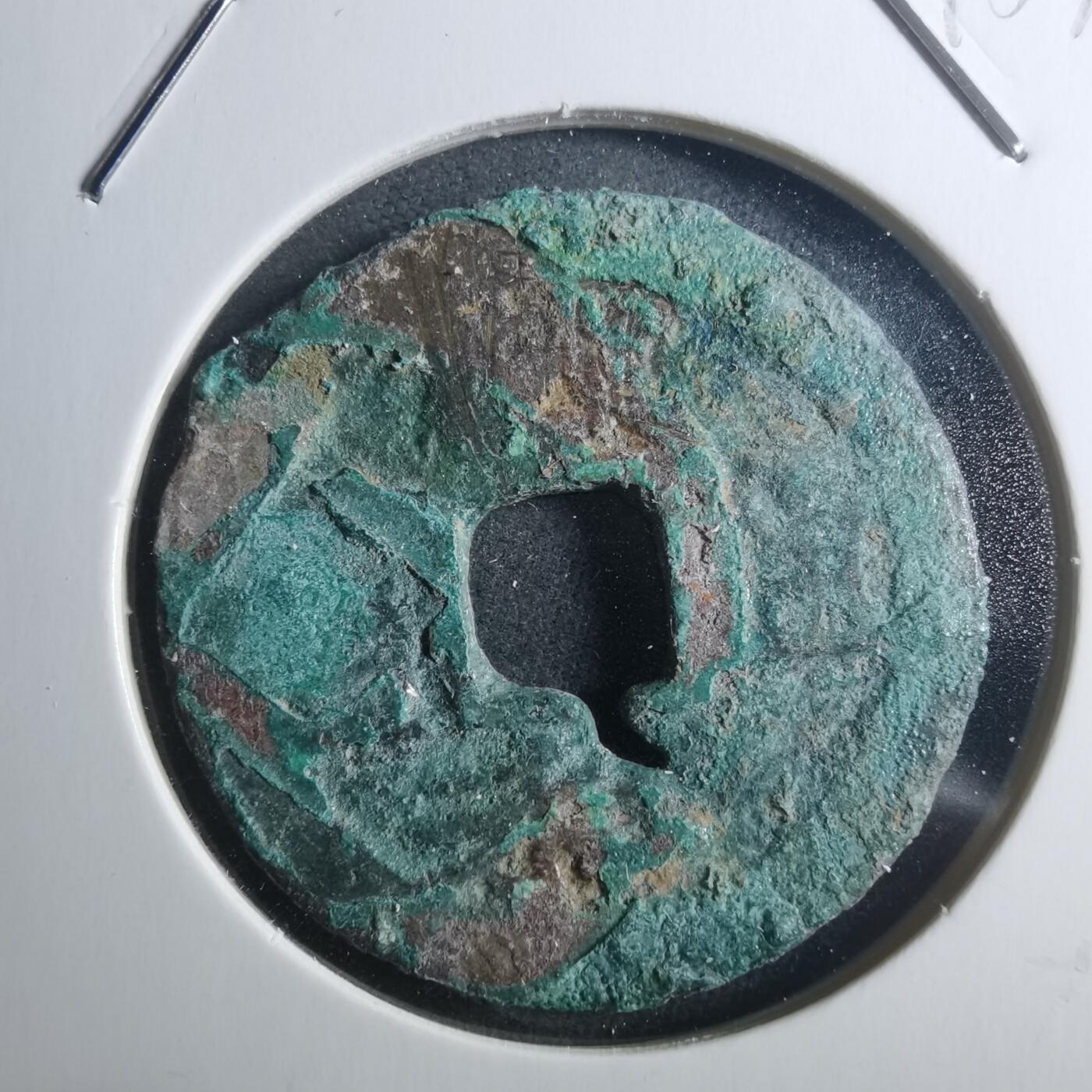 沼泽如烟--第895场