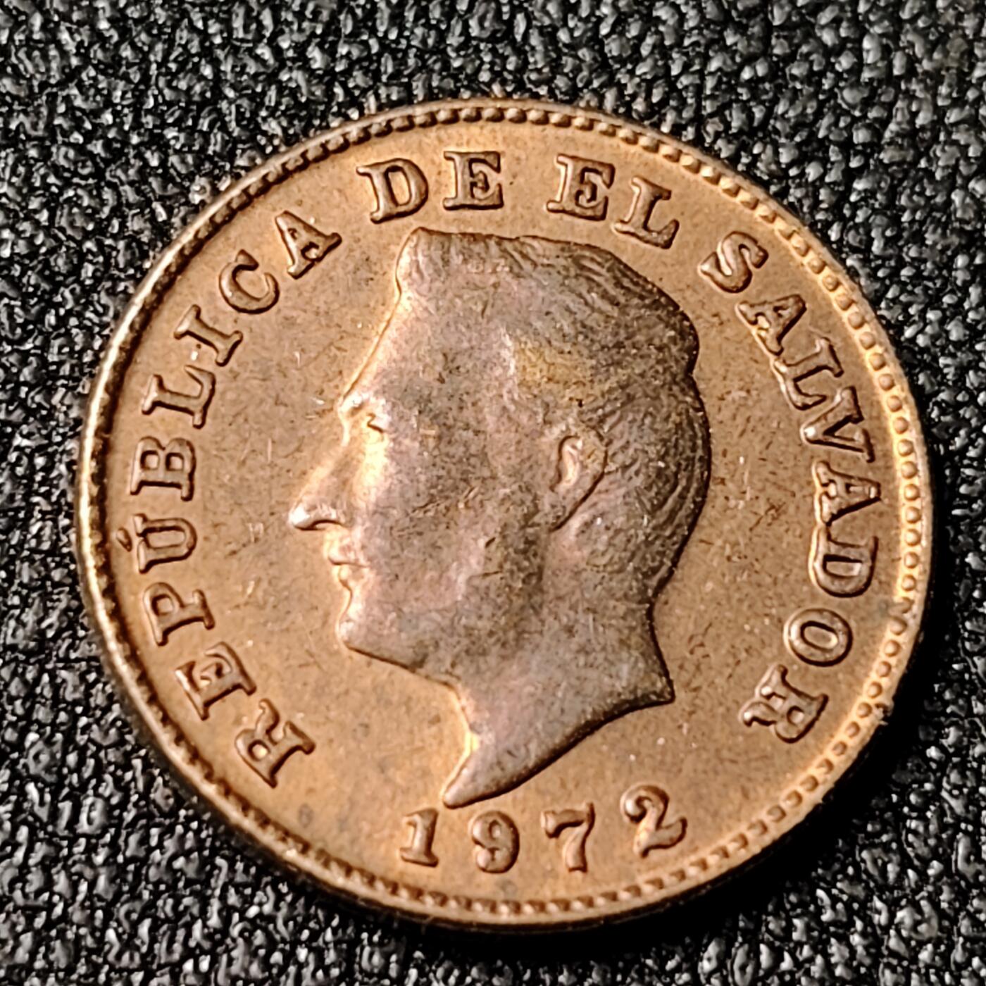 泉币菌-第125场-126场 并场 精品福利场(115场之后的本周末发货，感谢理解) 。