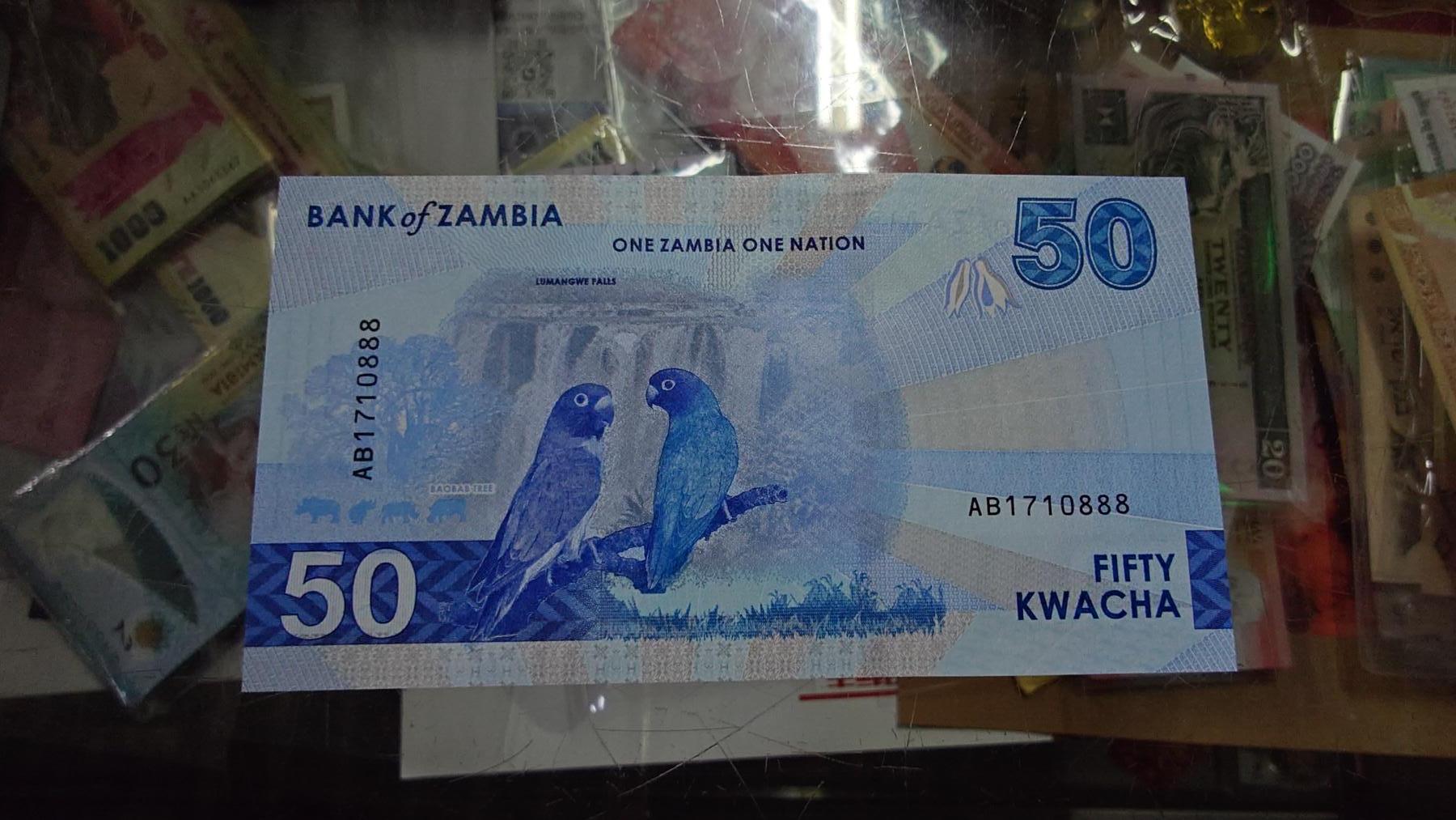 世界钱币～微拍第213期暨2025年第53期  部分库存清仓选号