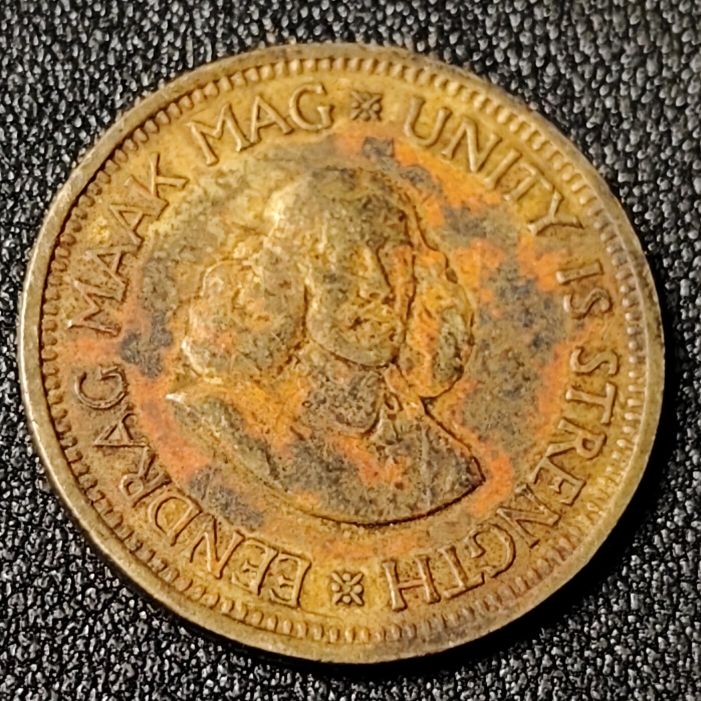 泉币菌-第125场-126场 并场 精品福利场(115场之后的本周末发货，感谢理解) 。