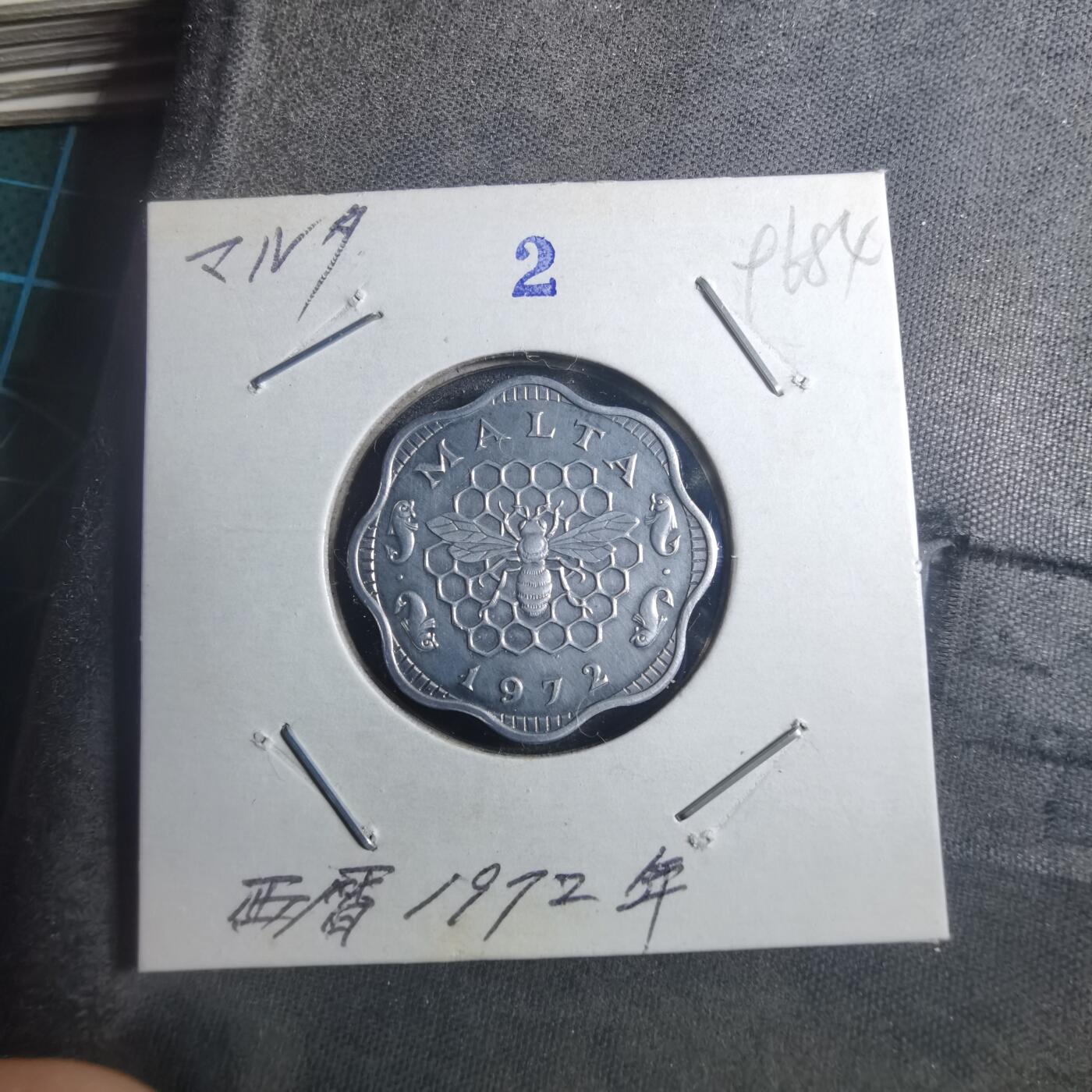 沼泽如烟--第896场