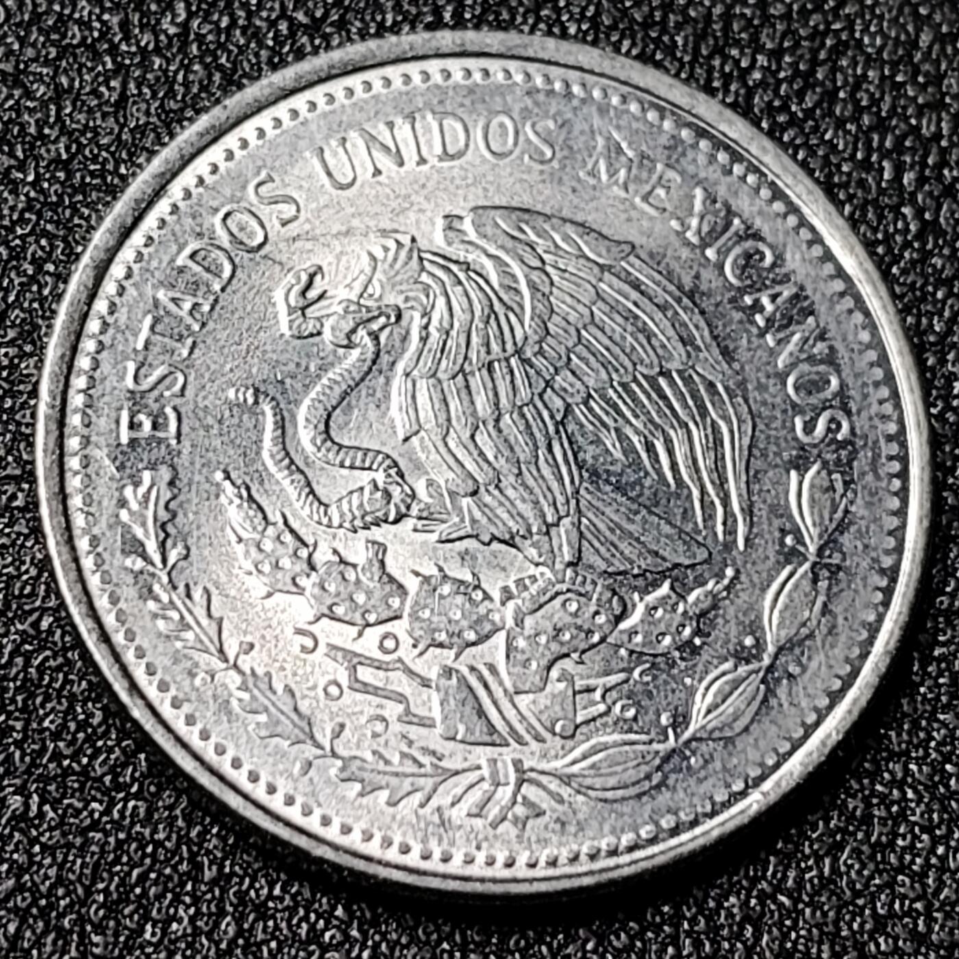 泉币菌-第125场-126场 并场 精品福利场(115场之后的本周末发货，感谢理解) 。