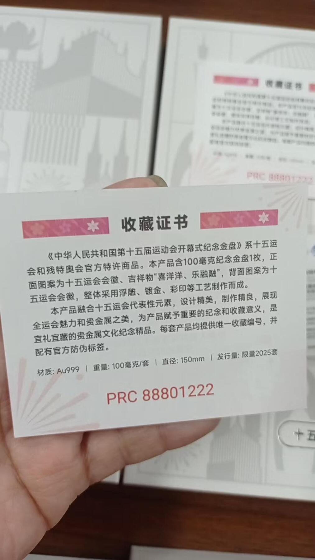 第十五届全运会金银盘