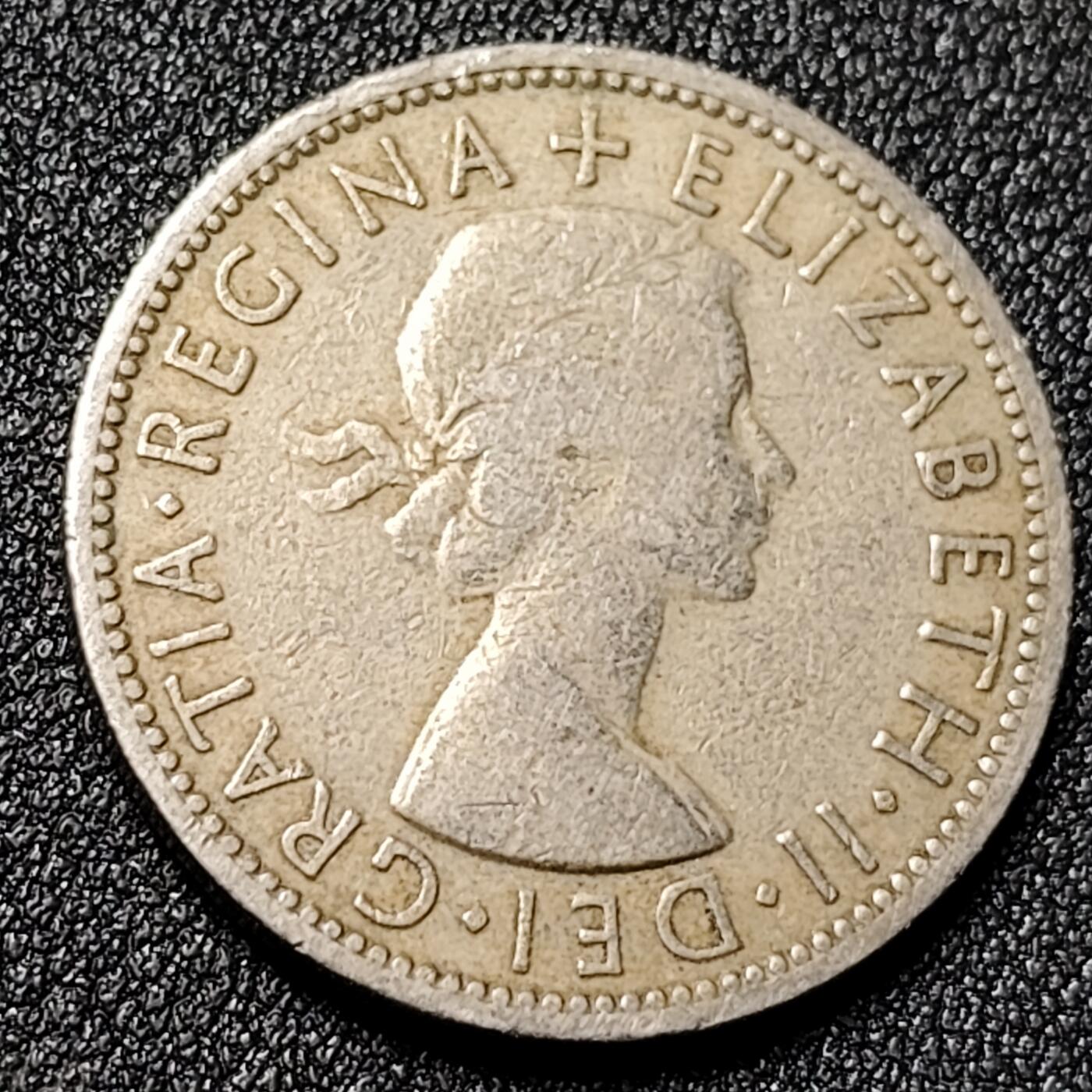 泉币菌-第125场-126场 并场 精品福利场(115场之后的本周末发货，感谢理解) 。