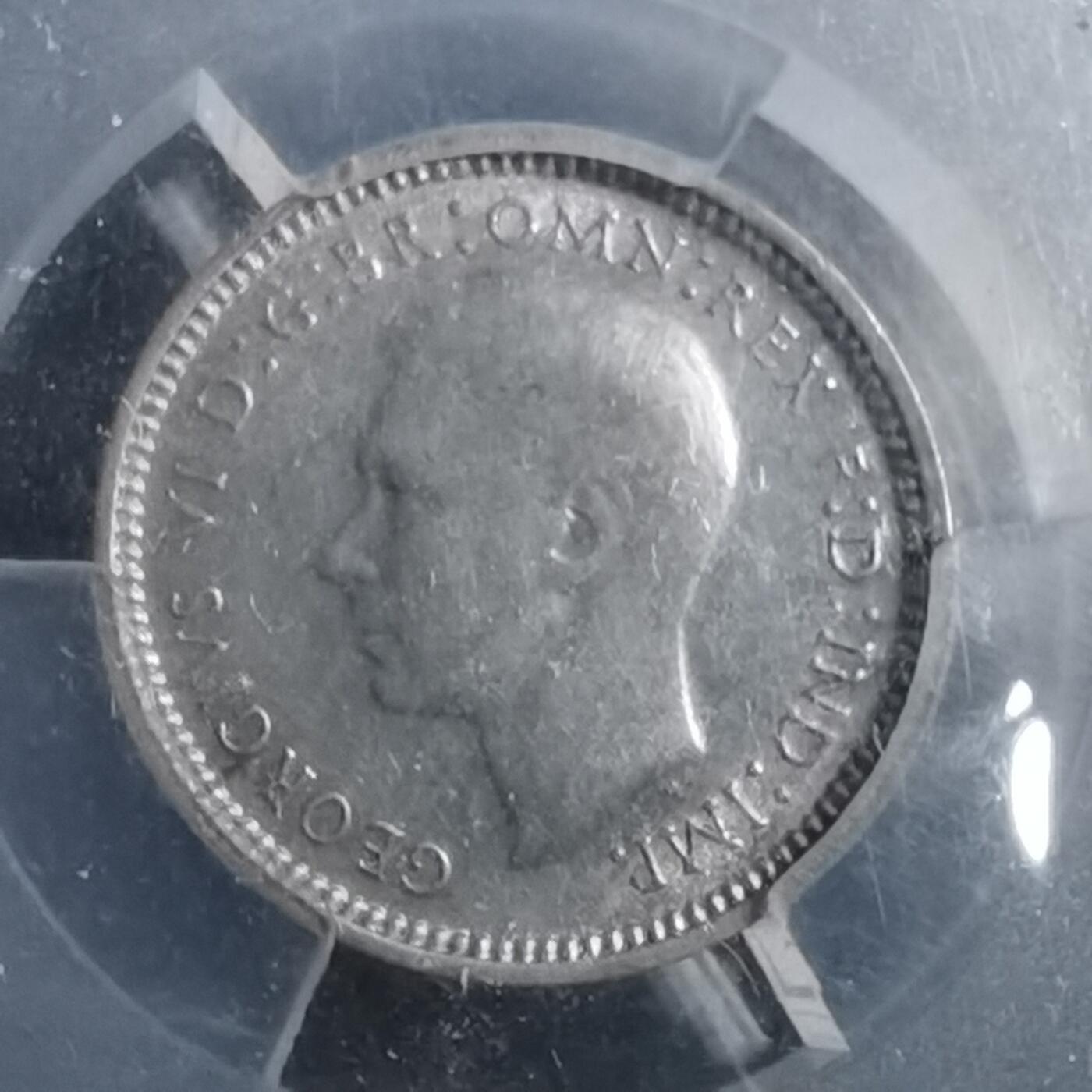 沼泽如烟--第895场