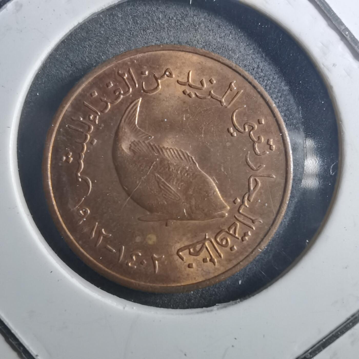 沼泽如烟--第895场 阿联酋