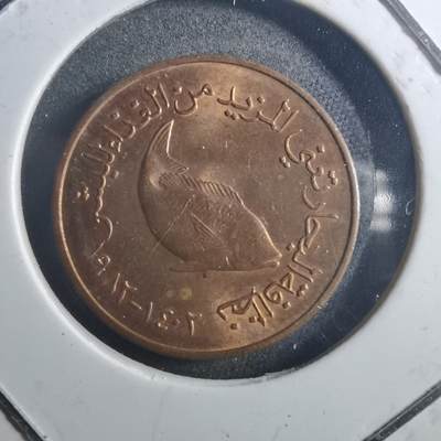 沼泽如烟--第895场 - 阿联酋