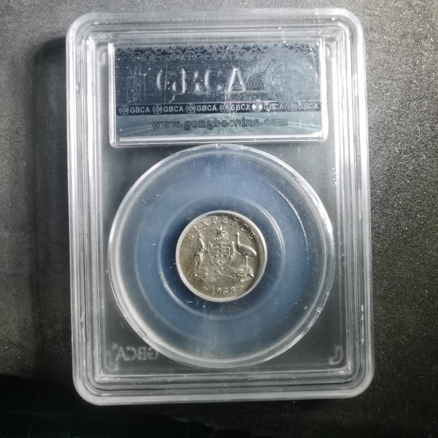 沼泽如烟--第895场