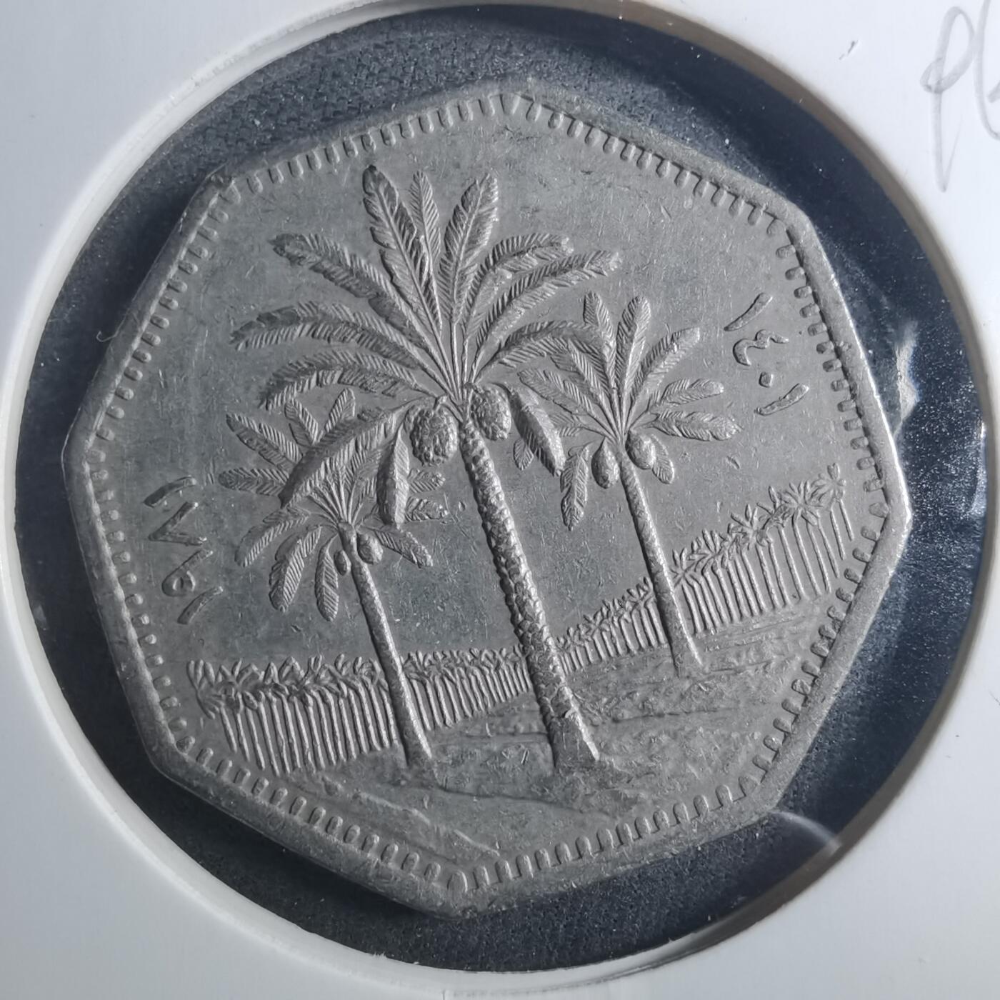 沼泽如烟--第896场 伊拉克