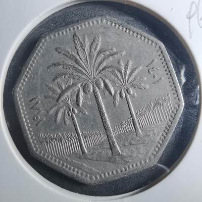 沼泽如烟--第896场 - 伊拉克