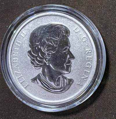 北京马甸外国币专卖第145期，外国币专场，陆续上拍，欢迎关注 加拿大2011年鸟类标本系列7山雀铜镍彩色纪念硬币