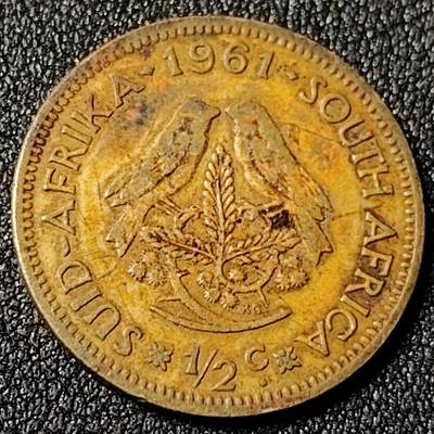 泉币菌-第125场-126场 并场 精品福利场(115场之后的本周末发货，感谢理解) - 。