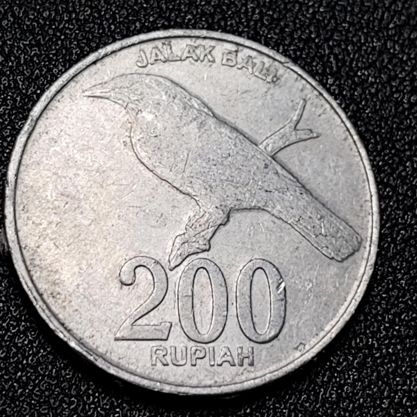 泉币菌-第125场-126场 并场 精品福利场(115场之后的本周末发货，感谢理解) 。