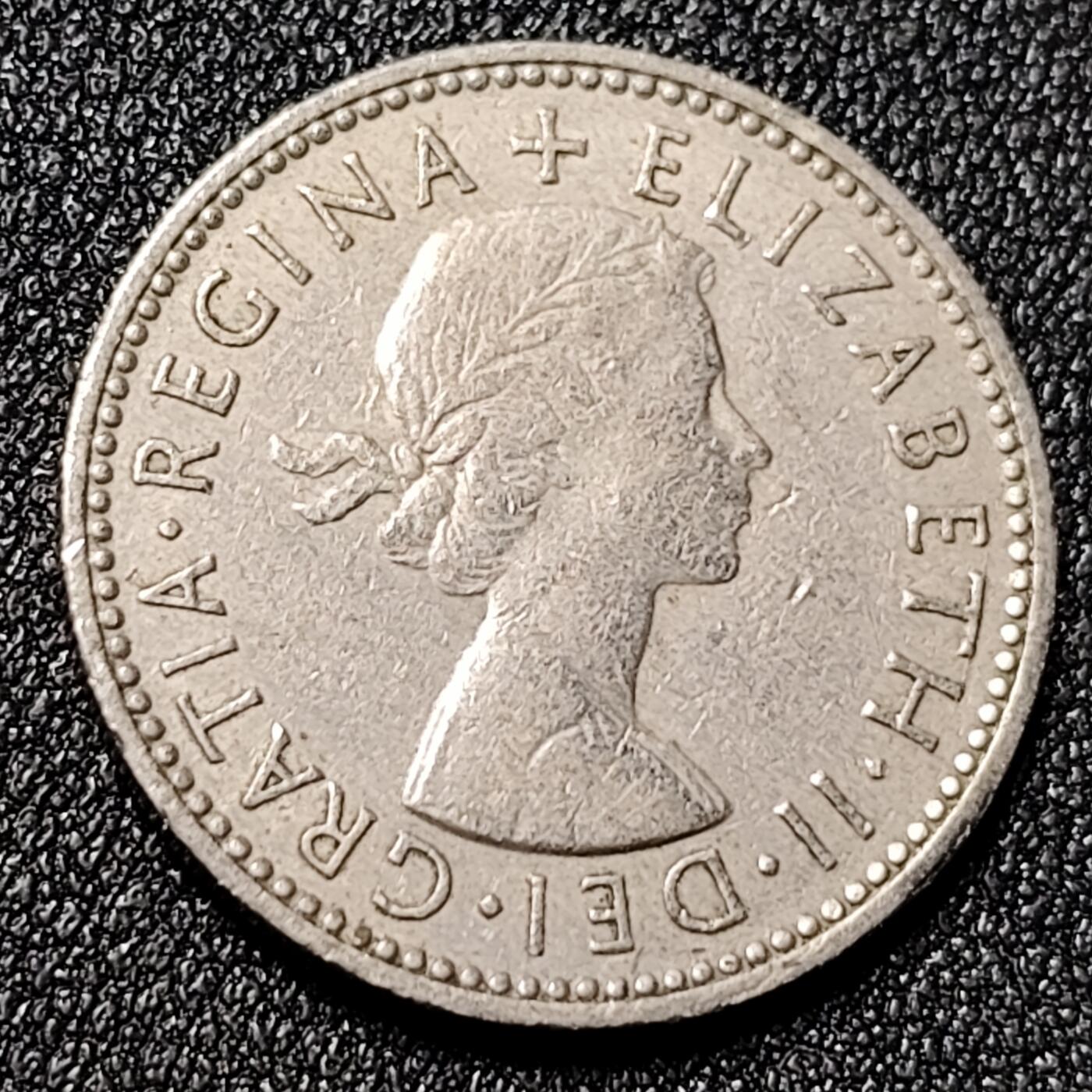 泉币菌-第125场-126场 并场 精品福利场(115场之后的本周末发货，感谢理解) 。