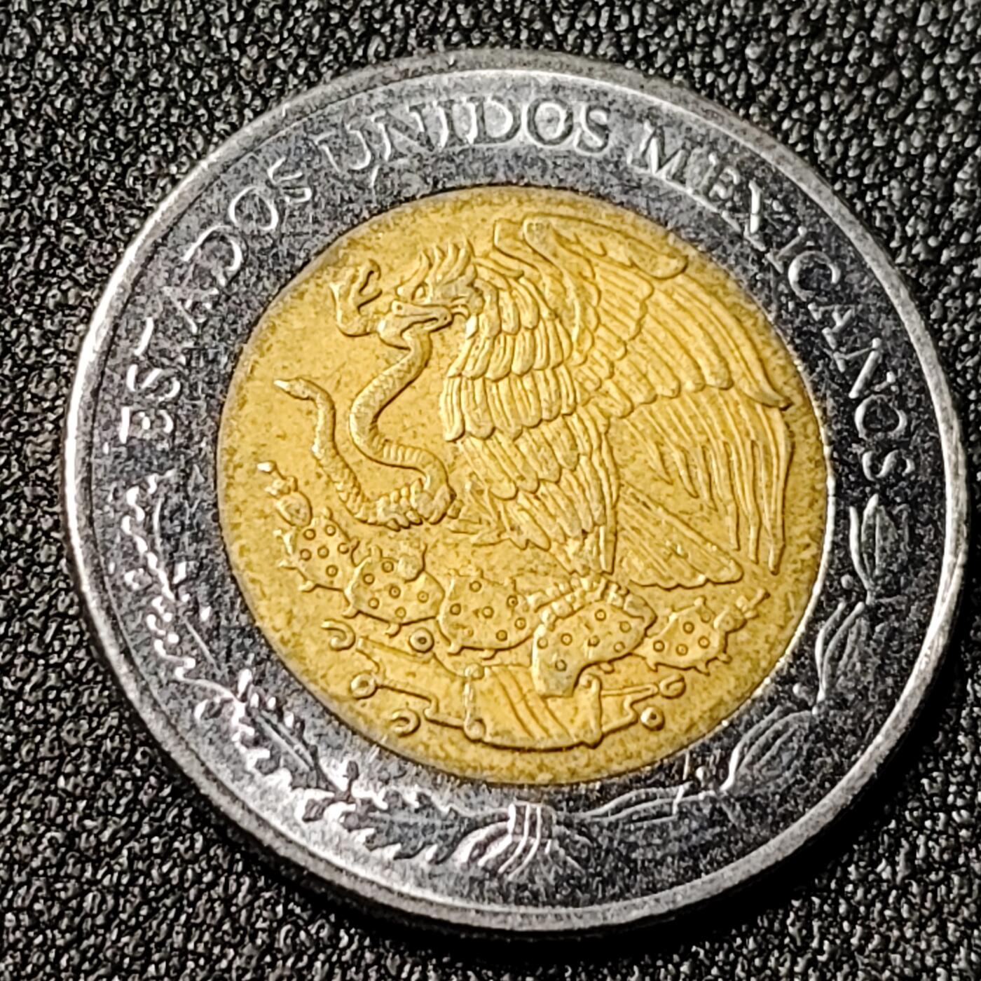 泉币菌-第125场-126场 并场 精品福利场(115场之后的本周末发货，感谢理解) 。