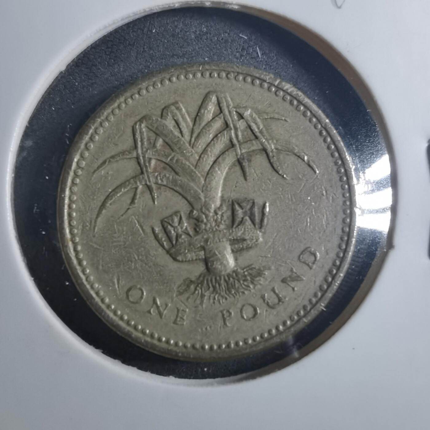 沼泽如烟--第896场 英国1985年一磅