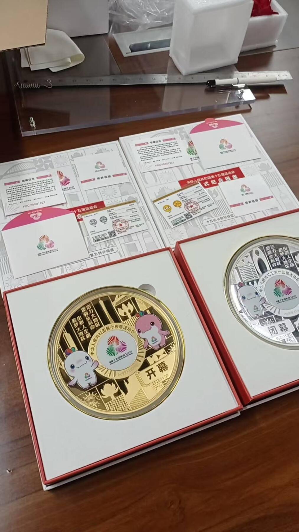 第十五届全运会金银盘