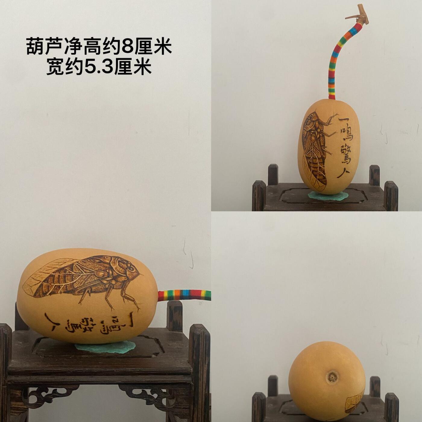 听雨轩（20）文玩葫芦一物一拍专场 纯手工烙画烫画彩绘葫芦 一鸣惊人