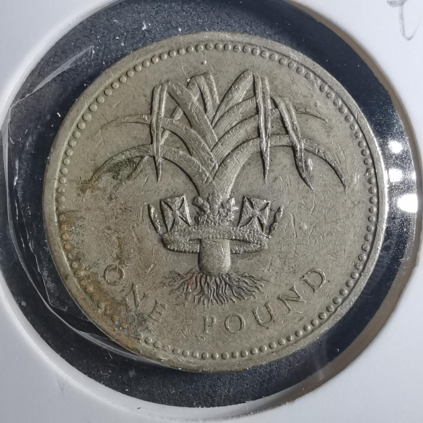 沼泽如烟--第896场 英国1985年一磅