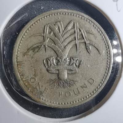 沼泽如烟--第896场 - 英国1985年一磅